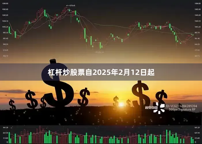 杠杆炒股票自2025年2月12日起