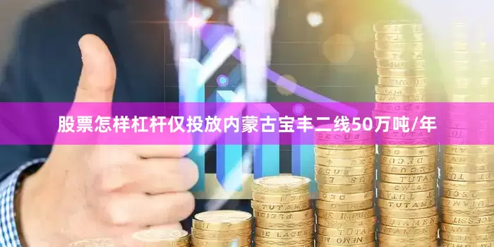 股票怎样杠杆仅投放内蒙古宝丰二线50万吨/年