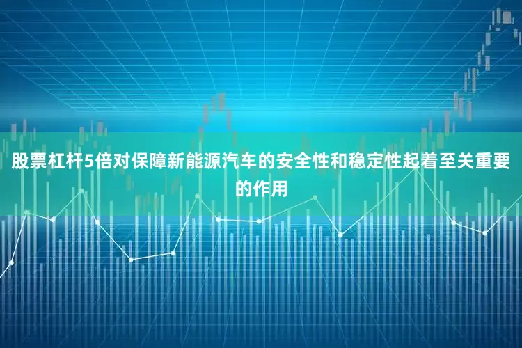 股票杠杆5倍对保障新能源汽车的安全性和稳定性起着至关重要的作用