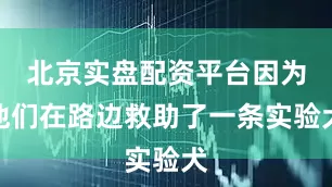 北京实盘配资平台因为他们在路边救助了一条实验犬