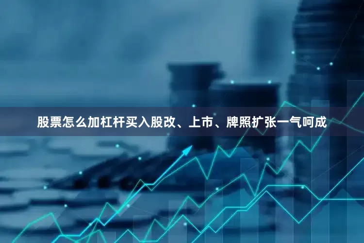 股票怎么加杠杆买入股改、上市、牌照扩张一气呵成