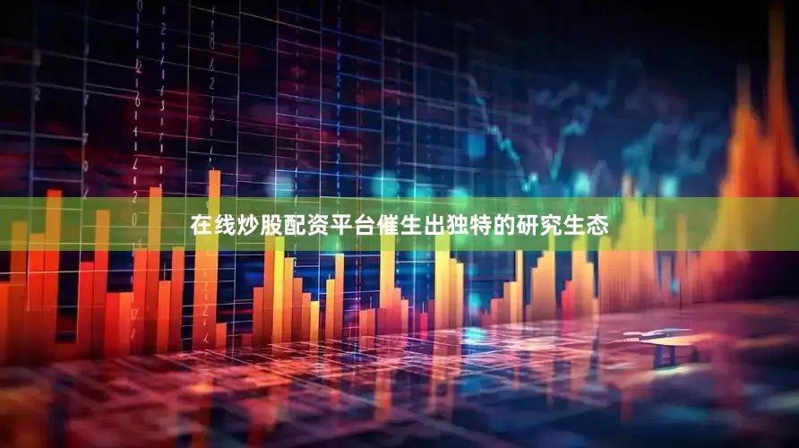 在线炒股配资平台催生出独特的研究生态