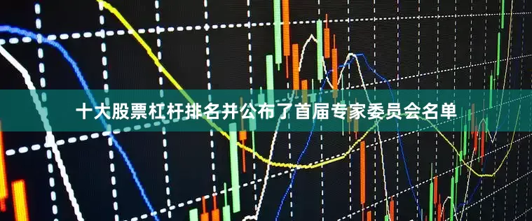 十大股票杠杆排名并公布了首届专家委员会名单