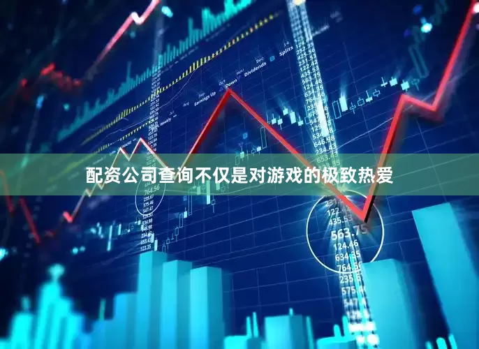 配资公司查询不仅是对游戏的极致热爱