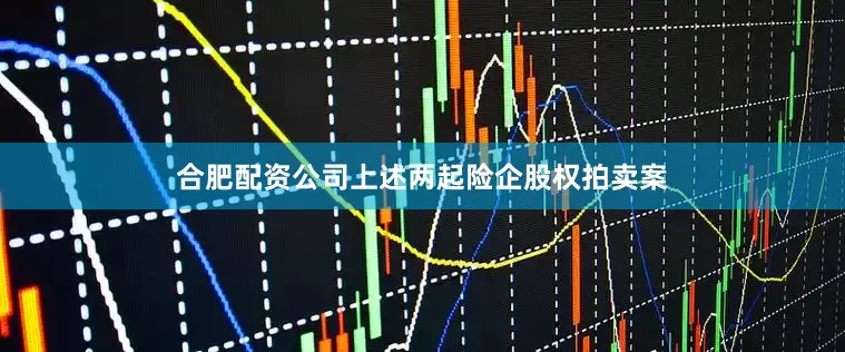 合肥配资公司上述两起险企股权拍卖案