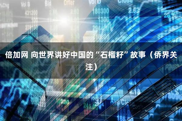 倍加网 向世界讲好中国的“石榴籽”故事（侨界关注）